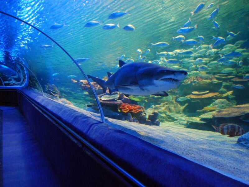 Legoland - Sealife