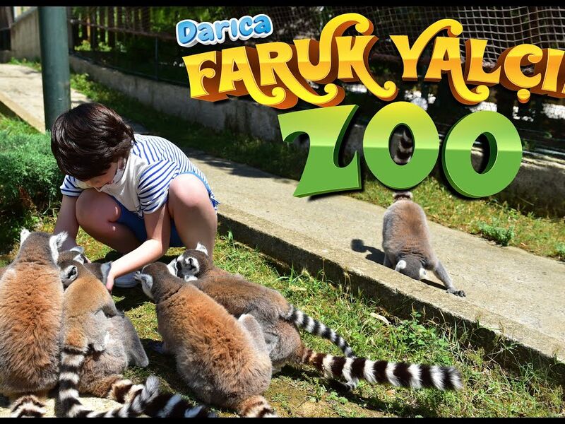 Faruk Yalçın Zoo - Darıca Hayvanat Bahçesi